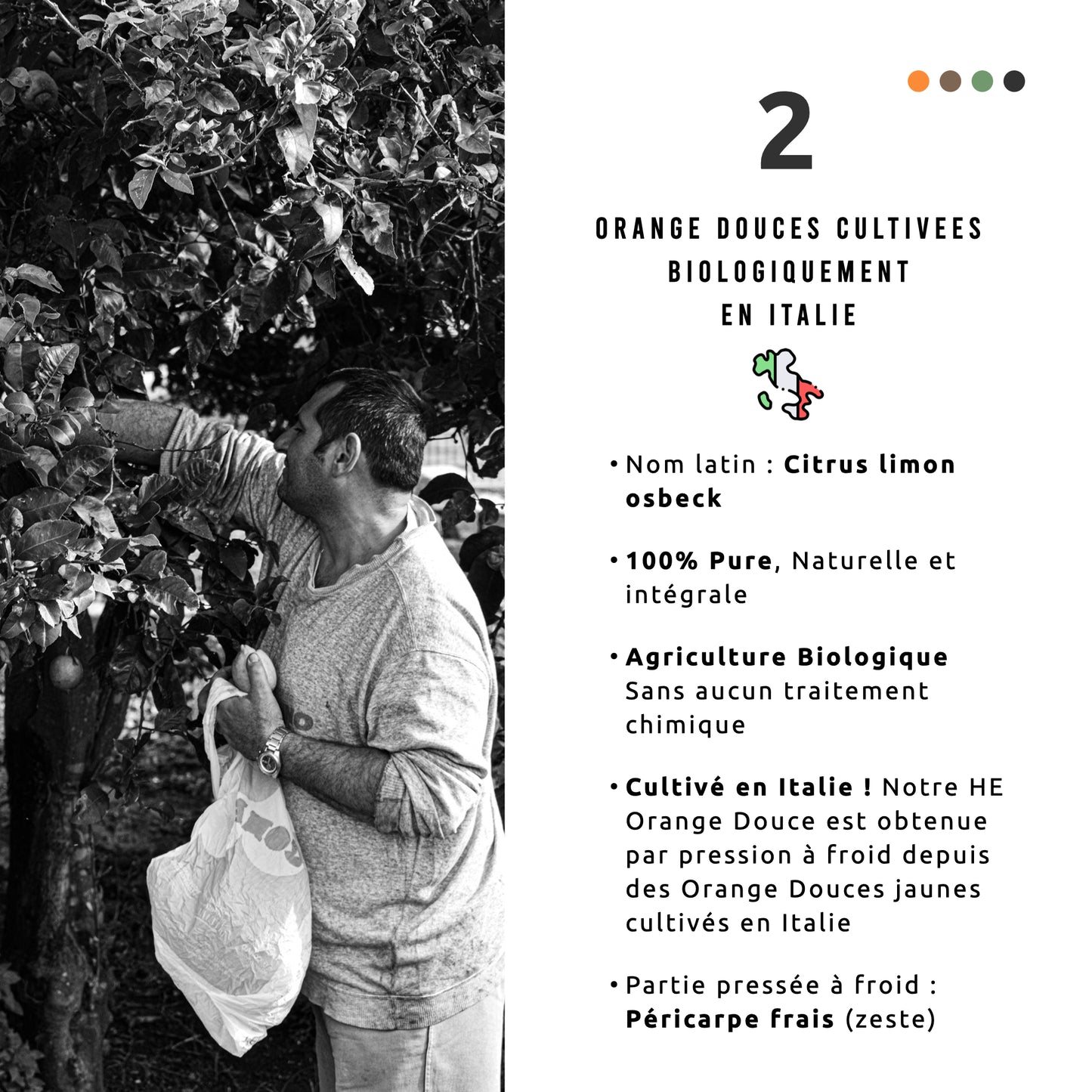 Organic Sweet Orange Essential Oil from Italy