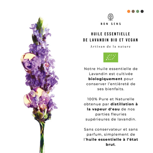 Huile Essentielle de Lavandin Bio