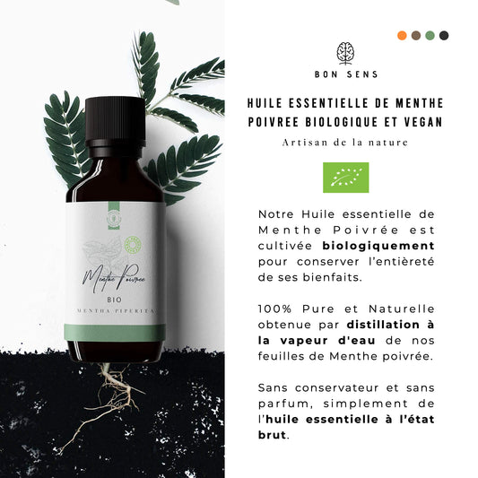 Huile Essentielle de Menthe Poivrée Bio