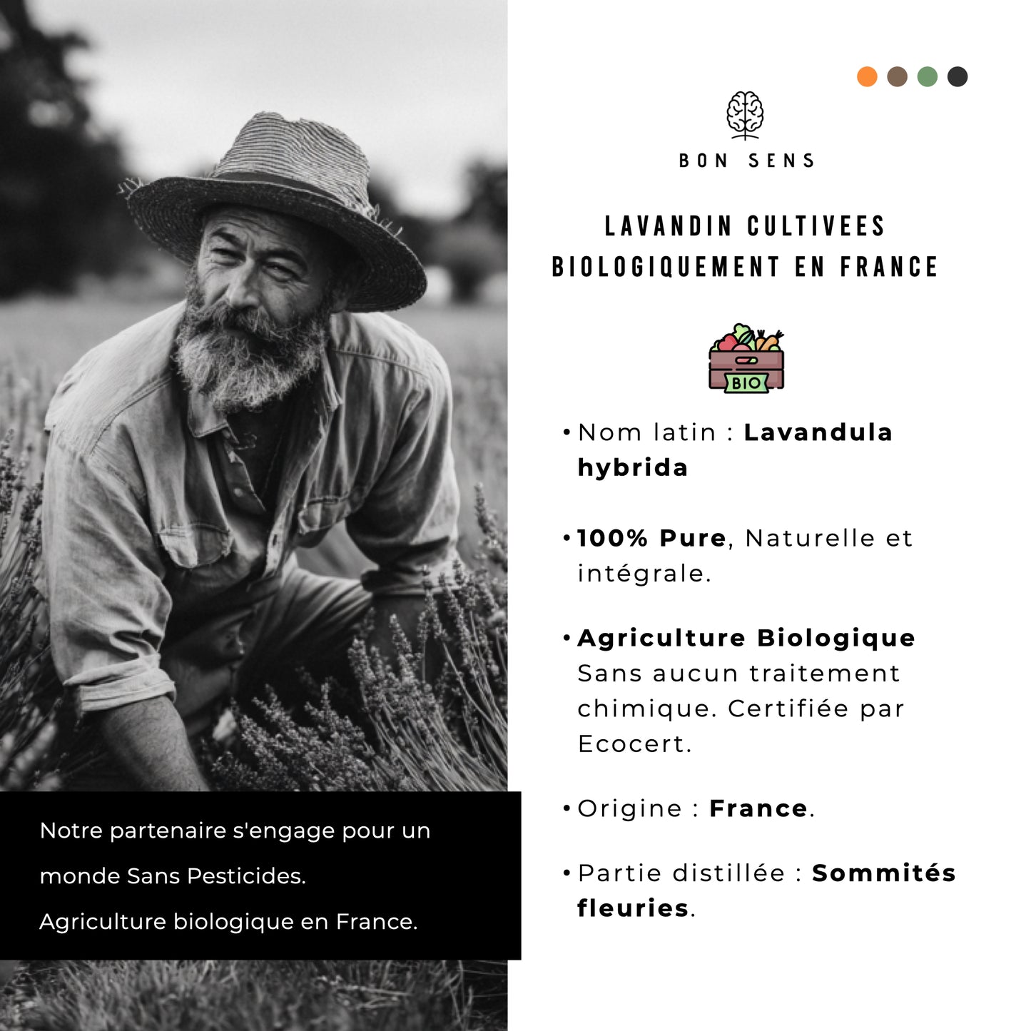 Huile Essentielle de Lavandin Bio