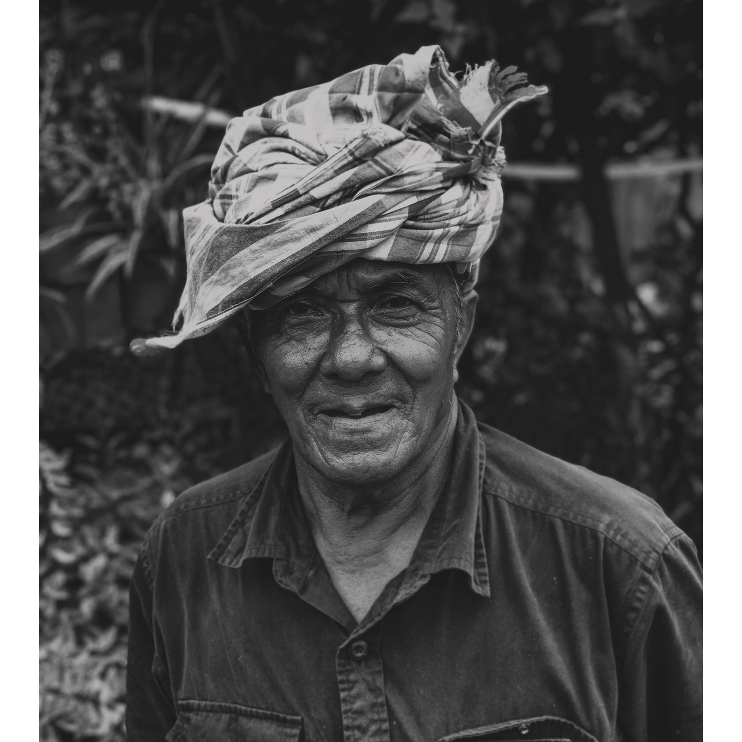 Huile de Rose Musquée Bio