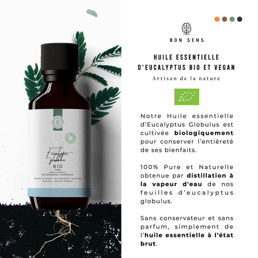 Huile Essentielle d’Eucalyptus Bio