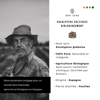 Huile Essentielle d’Eucalyptus Bio