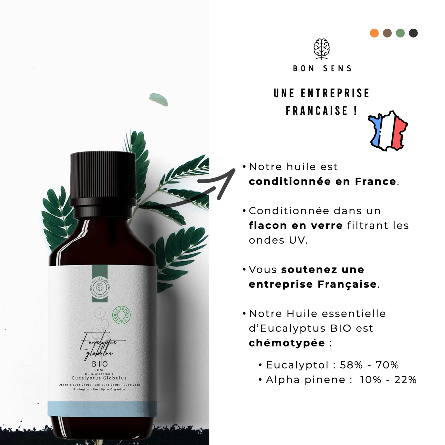 Huile Essentielle d’Eucalyptus Bio