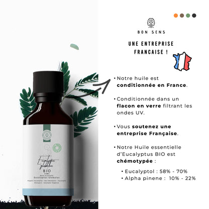 Huile Essentielle d’Eucalyptus Bio