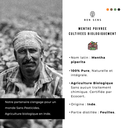 Huile Essentielle de Menthe Poivrée Bio