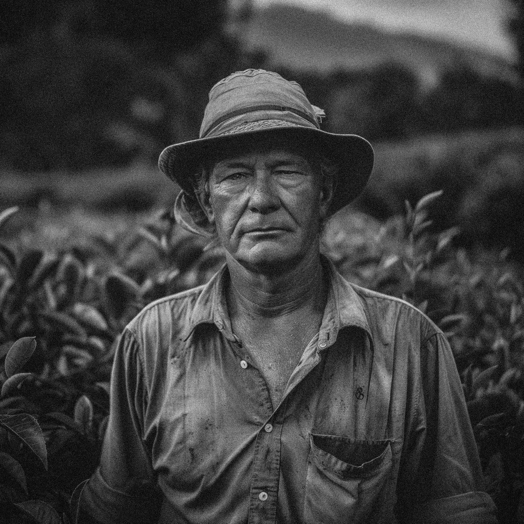 agriculteur de Tea Tree Bio