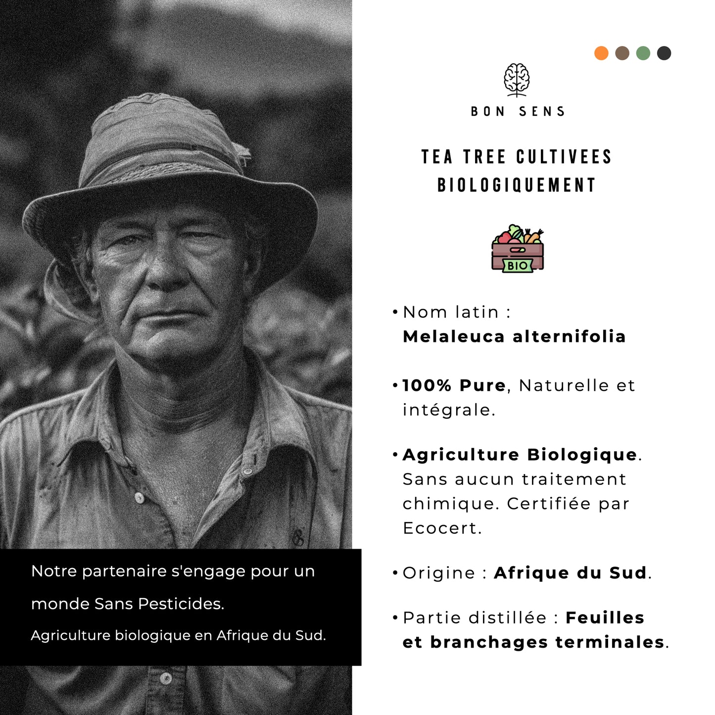 huile essentielle arbre a the origine afrique du sud et biologique