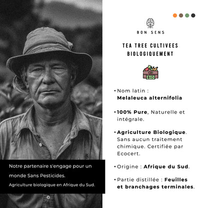 huile essentielle arbre a the origine afrique du sud et biologique