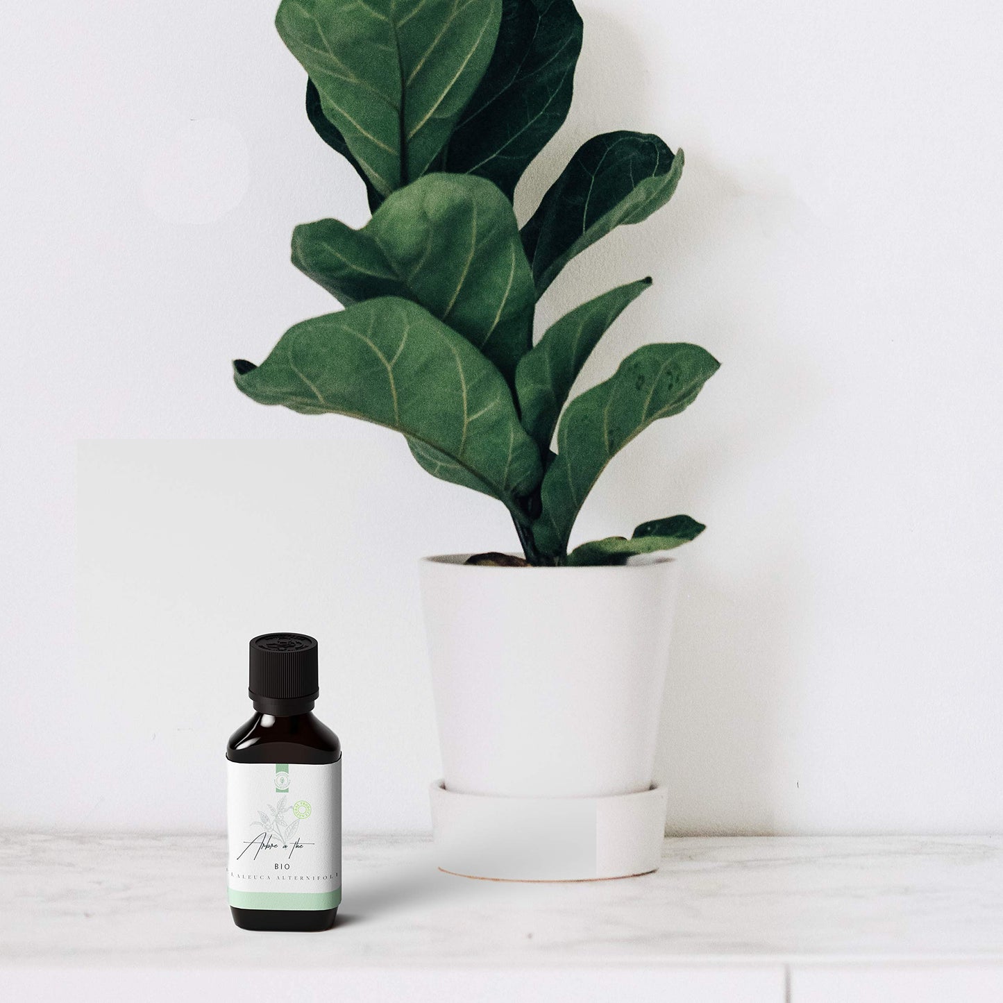 huile essentielle de tea tree en diffuseur