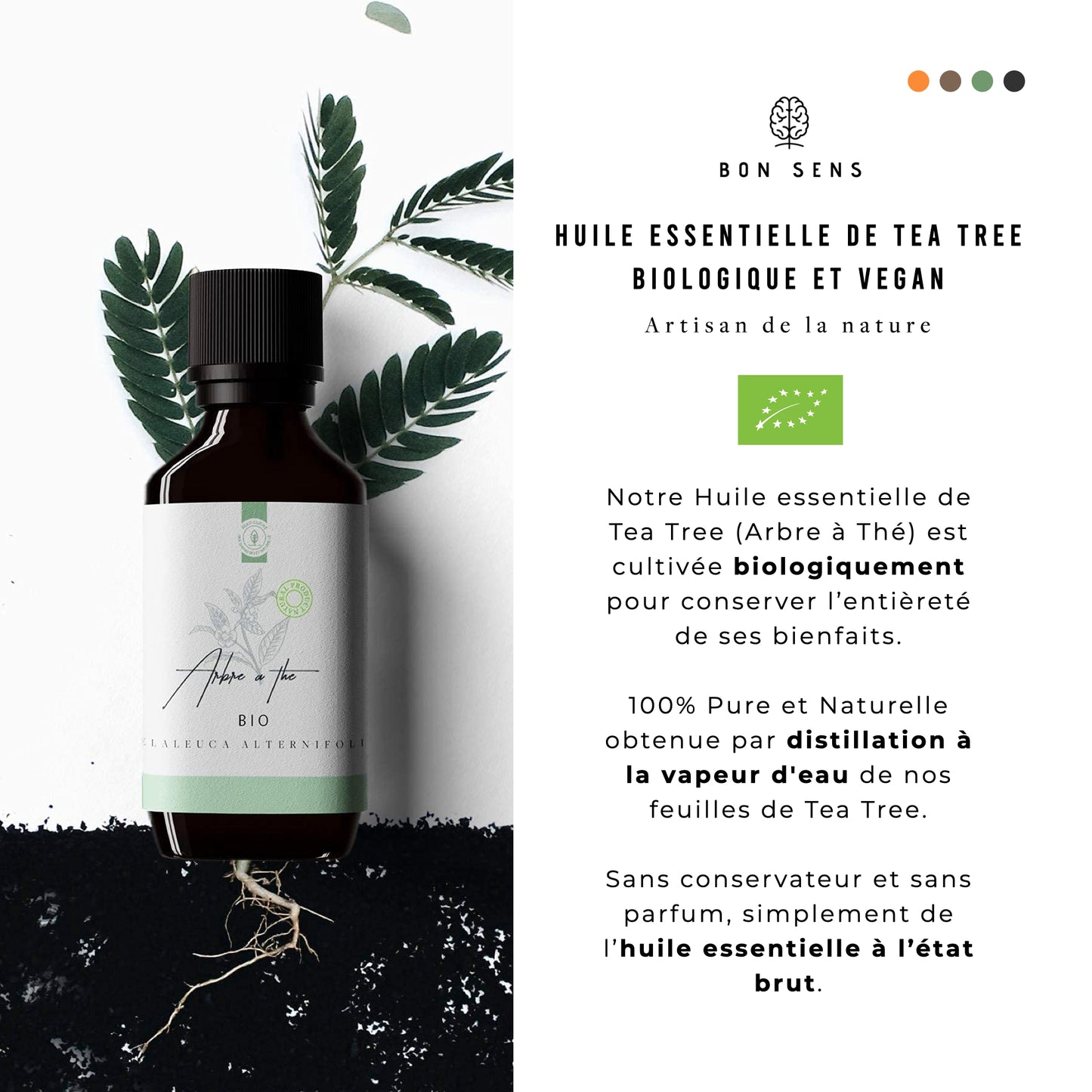 huile essentielle tea tree distillation a la vapeur