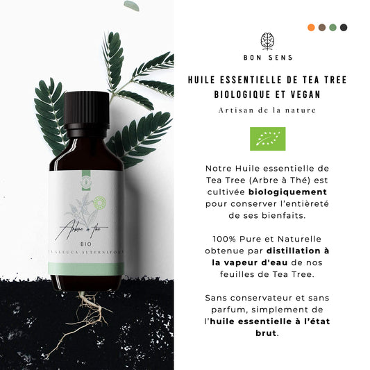 huile essentielle tea tree distillation a la vapeur